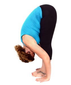 Standing Forward Bend(Uttanasana)